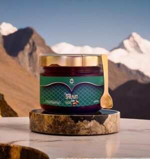 best place to buy shilajit pack of 1